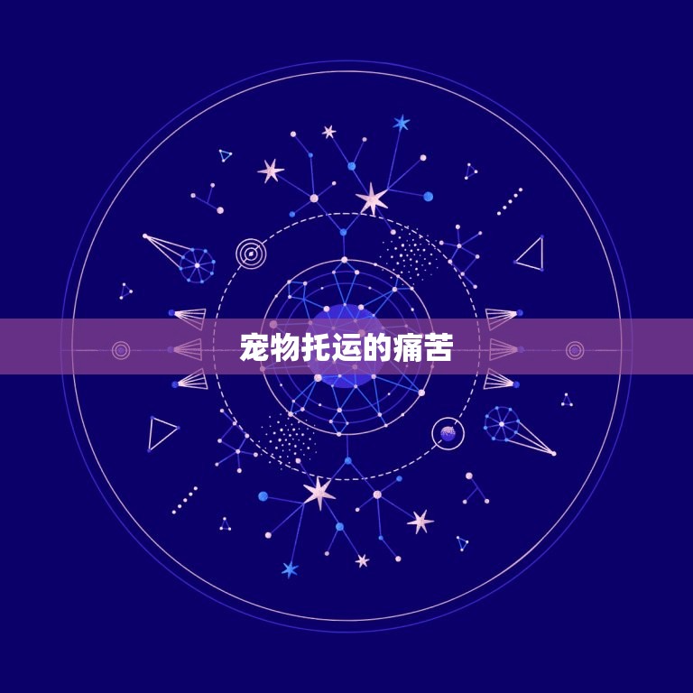 宠物飞机托运很痛苦吗(宠物主人必读如何减轻宠物托运的痛苦)