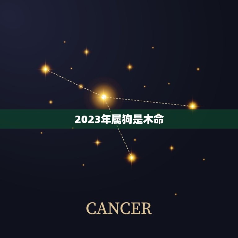 2023年属狗是木命(狗年木命财运旺盛事业顺利)