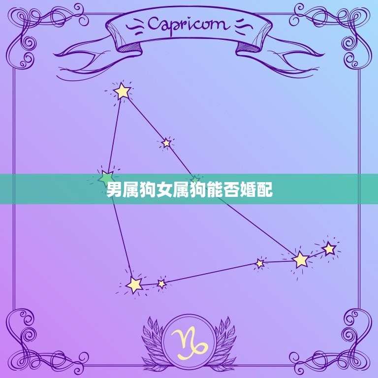 男属狗女属狗能否婚配(同属一相婚姻缘分如何)