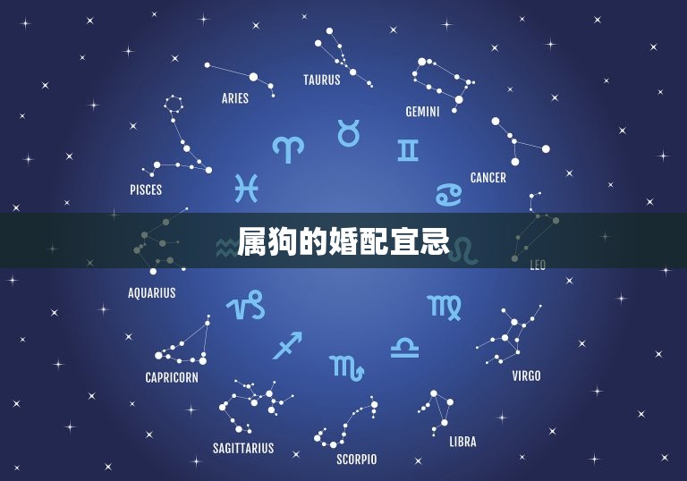 属狗的婚配宜忌有哪些(如何选择伴侣)