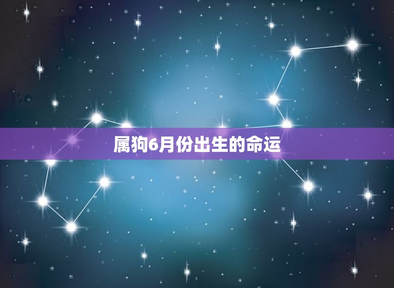 属狗6月份出生的命运(狗年好运连连命格温和平稳)