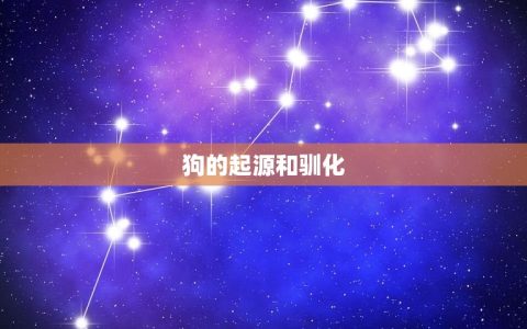 1970年狗是什么狗(回顾历史介绍狗的演变)