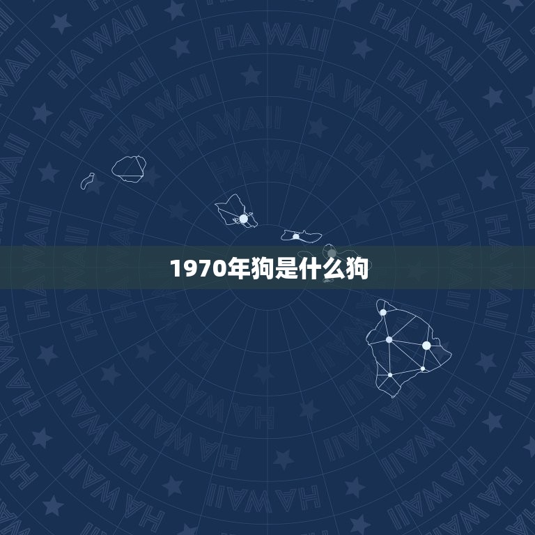 1970年狗是什么狗(回顾历史介绍狗的演变)