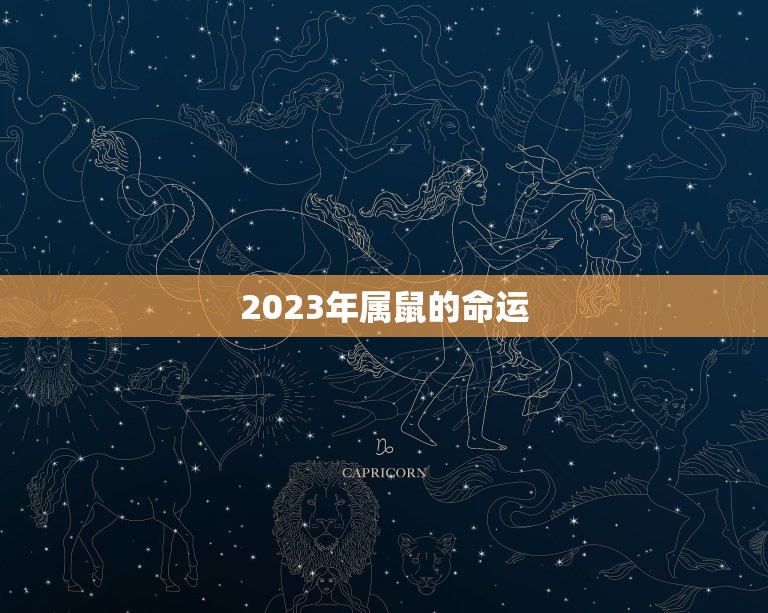 2023年属鼠的命运(展望财运亨通事业顺遂)