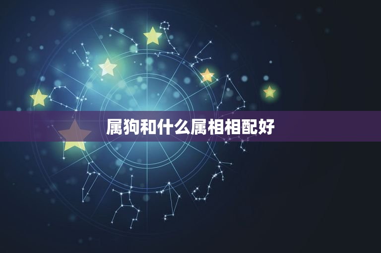 属狗和什么属相相配好(配对指南)