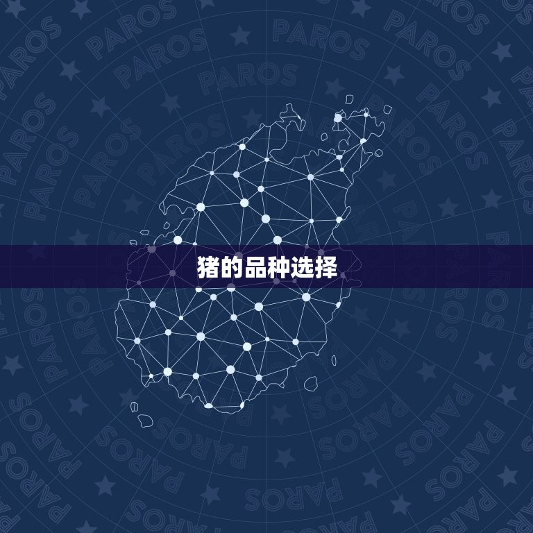 猪的配偶属什么最合适(如何选择猪配偶)