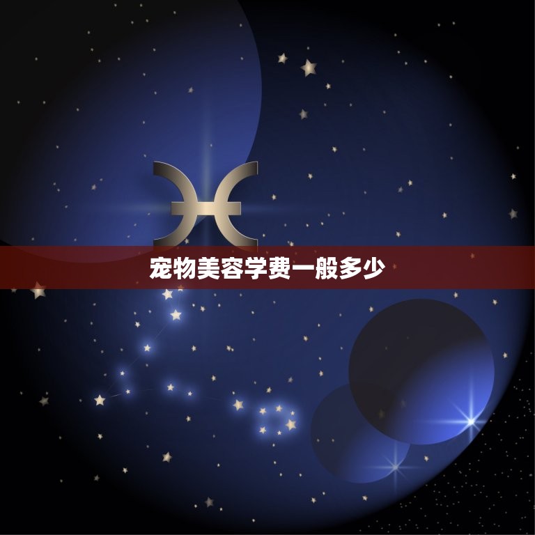 宠物美容学费一般多少(你需要知道的费用信息)