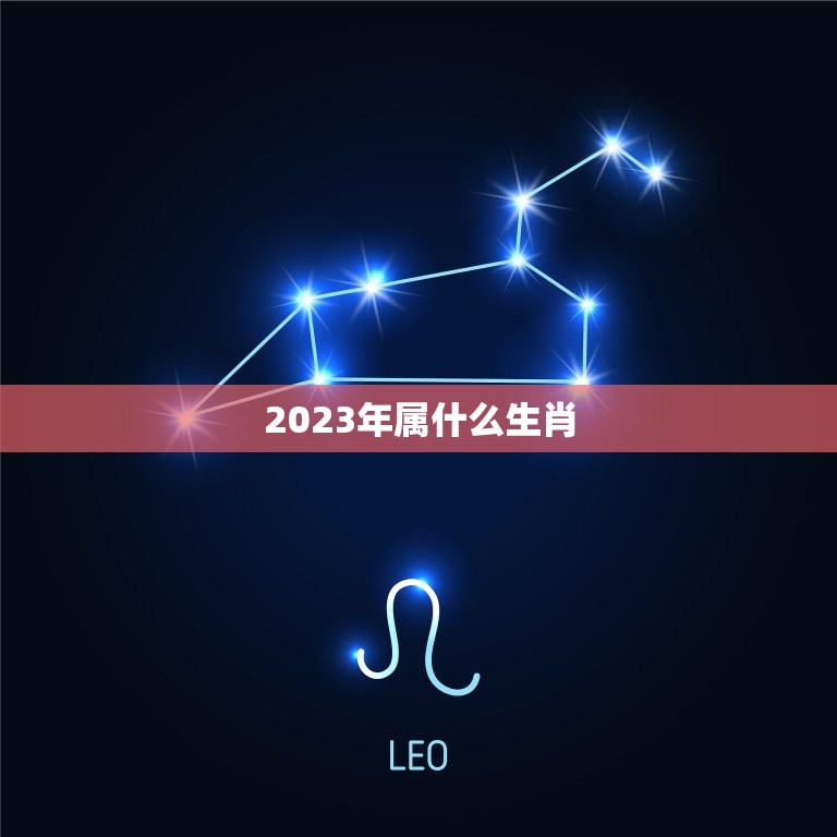 2023年属什么生肖(探寻未来的生肖命运)