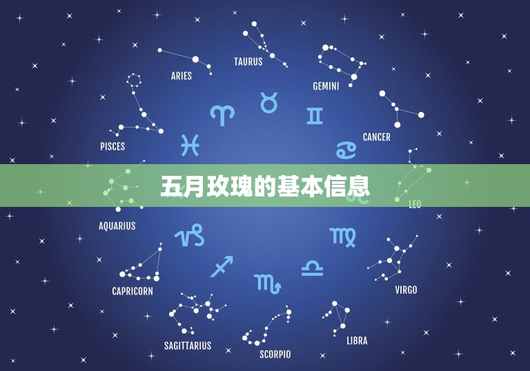 五月玫瑰的是什么(探寻五月花语的深层含义)