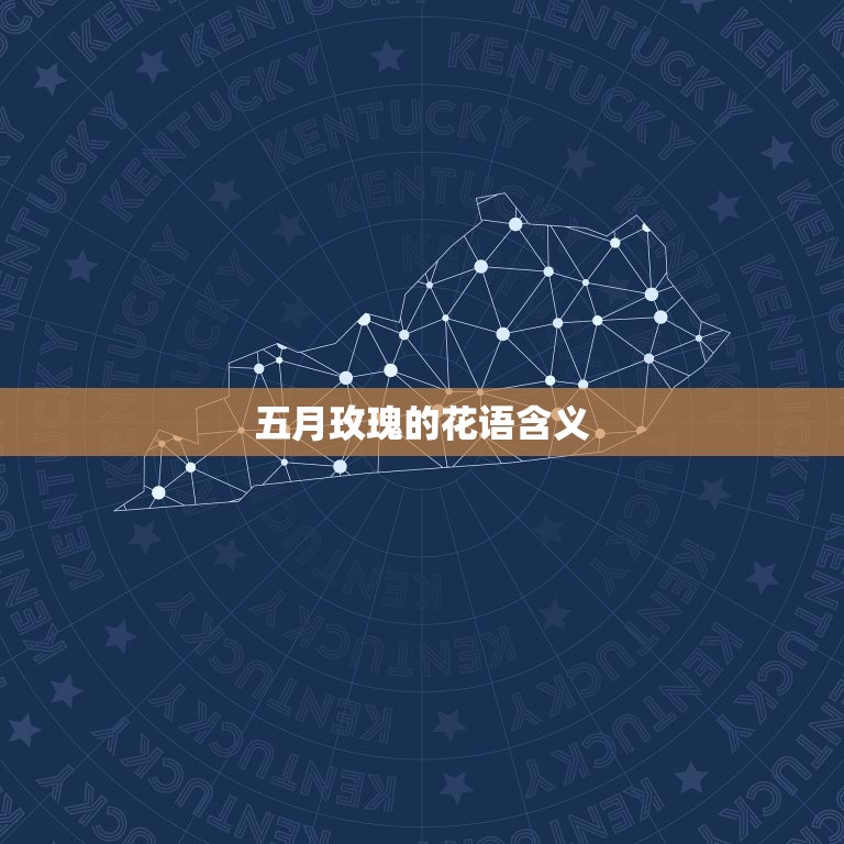 五月玫瑰的是什么(探寻五月花语的深层含义)
