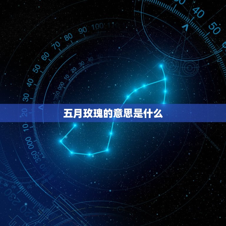 五月玫瑰的是什么(探寻五月花语的深层含义)