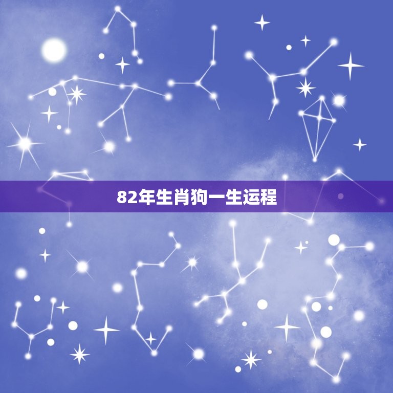 82年生肖狗一生运程(幸运之星照耀财富与事业齐飞)