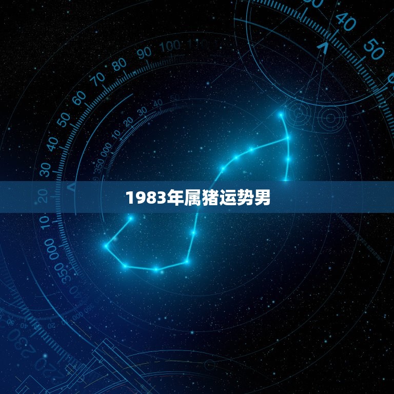 1983年属猪运势男(2023年运势大介绍)