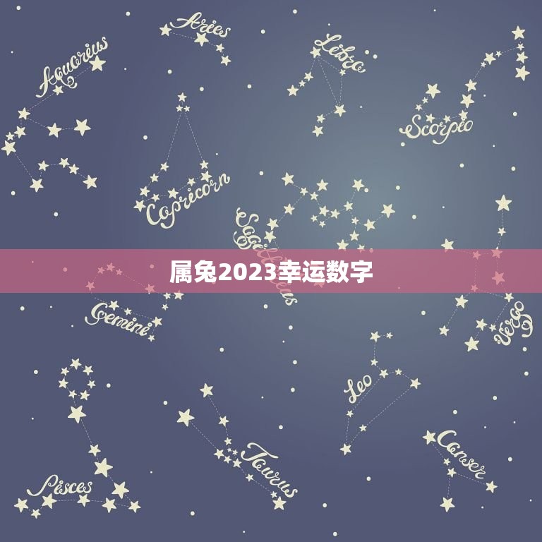 属兔2023幸运数字(介绍带来好运的数字是什么)