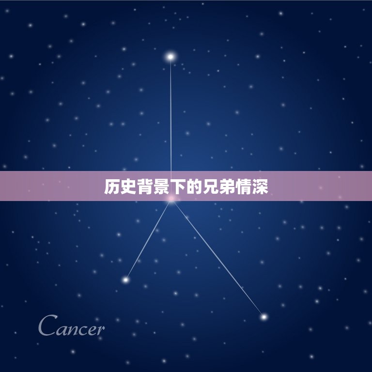 兄弟动化子孙什么(介绍兄弟情深子孙后代有)