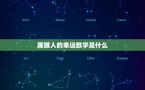 属猴人今日的幸运数字(介绍带来好运的数字是什么)