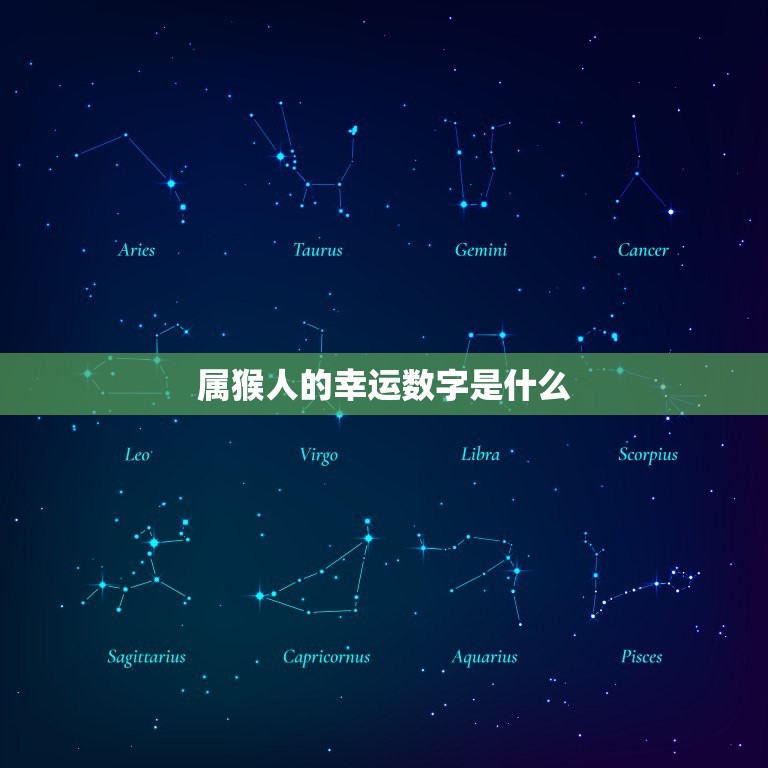 属猴人今日的幸运数字(介绍带来好运的数字是什么)