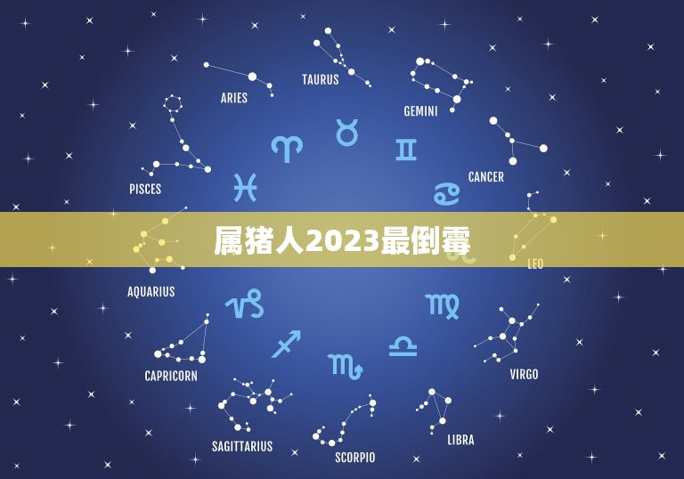 属猪人2023最倒霉(猪年不利2023年猪人运势低迷)
