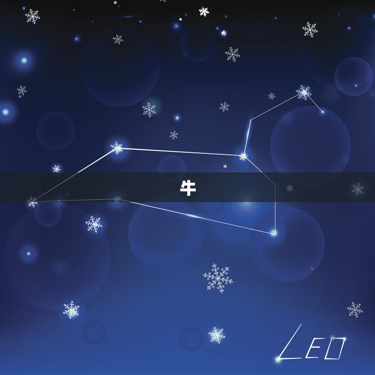 生肖每日运势查询运势(今日运势大介绍)