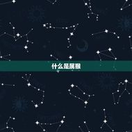 属猴的是哪年出生日期(猴年生肖介绍)