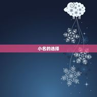 92年属猴招财的小名(如何提升财运)