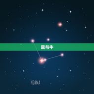 十二生肖婚配查询(介绍十二生肖婚姻组合)