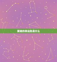 属猪一生什么颜色最旺(介绍猪年生肖幸运色)