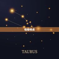 十二生肖出生年历表鸡(鸡年人的性格特点和运势介绍)