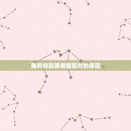 属狗的和鼠属相最配对(如何找到你的真命伴侣)