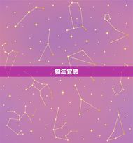 1994年属狗清宫表(解读狗年宜忌与运势)