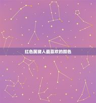 属猪人永远最旺的颜色(介绍红色还是金色)