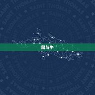 十二属相姻缘搭配(配对指南)