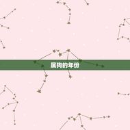 属狗的年份及年龄对照(狗年出生的你年龄如何对应)