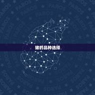 猪的配偶属什么最合适(如何选择猪配偶)