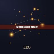 宠物美容学费一般多少(你需要知道的费用信息)