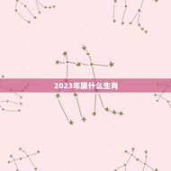 2023年属什么生肖(探寻未来的生肖命运)