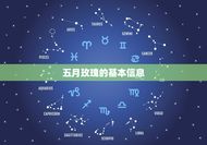 五月玫瑰的是什么(探寻五月花语的深层含义)