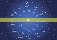 每天十二生肖属相运势(今日运势预测)