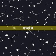 天秤座今日运势星座网(幸运之星照耀财运亨通)