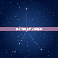 兄弟动化子孙什么(介绍兄弟情深子孙后代有)