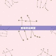 属猪人今年财运几颗星(2023年猪年财运展望)