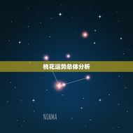 水瓶座桃花运势2023(爱情星光熠熠桃花缤纷绽放)