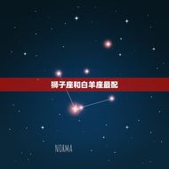 狮子座和什么座最配对男(星座配对大介绍)