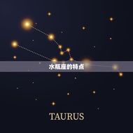 十二星座暗恋排行榜水瓶(水瓶座的暗恋对象是谁)