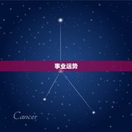 巨蟹座今日运势最准水墨(情感事业双丰收)