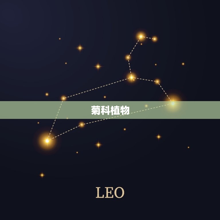 常见的10种双子叶植物(你一定要认识的植物世界)