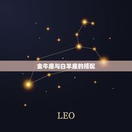 金牛座跟十二星座的搭配(星座配对大介绍)