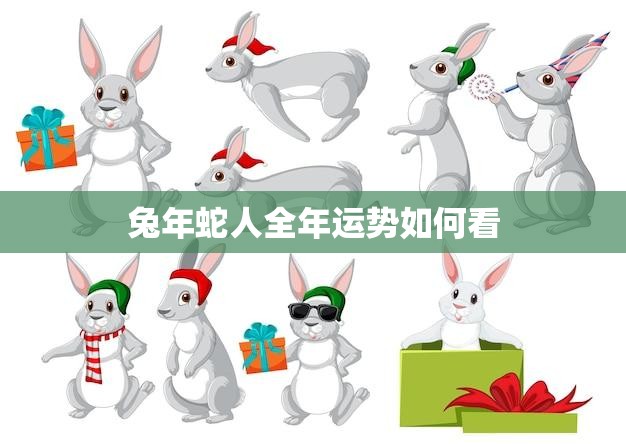 兔年蛇人全年运势如何看(解析2023年运势)