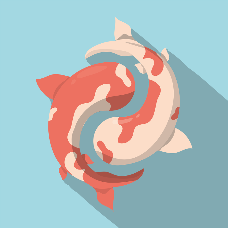 双鱼座是什么性格的人女(探究神秘、浪漫的双鱼女)