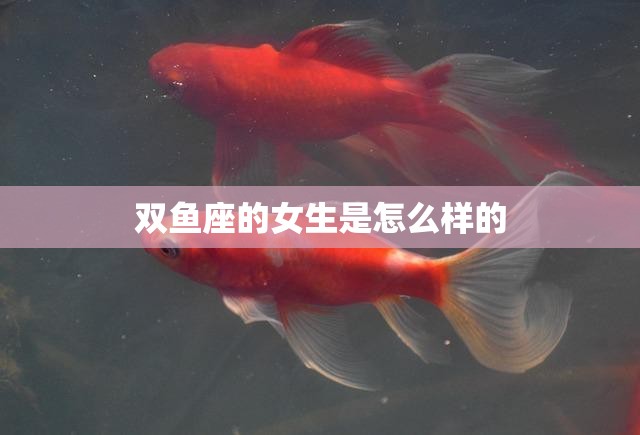 双鱼座的女生是怎么样的(神秘浪漫善解人意)